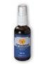 Topinambur Plus Spray 100ml